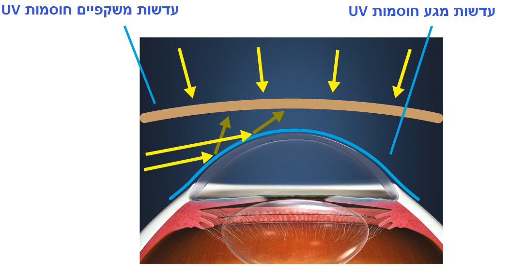 Sunglasses plus UV-blocking contact lenses